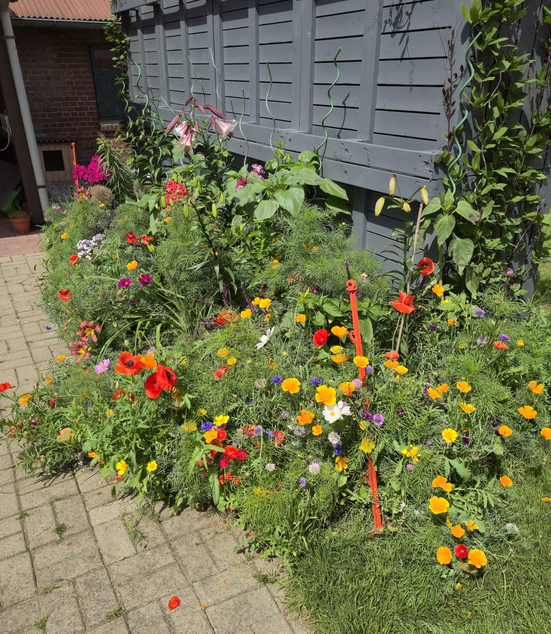Buntes Staudenbeet mit Sommerblumen entlang Gartenzaun in naturnaher Gartengestaltung