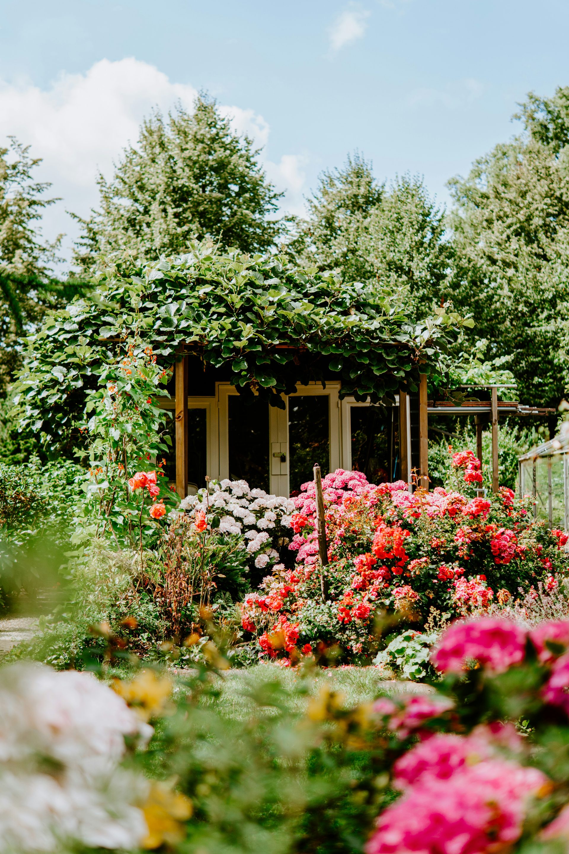 building covered with green plants and surrounded by petaled flowers