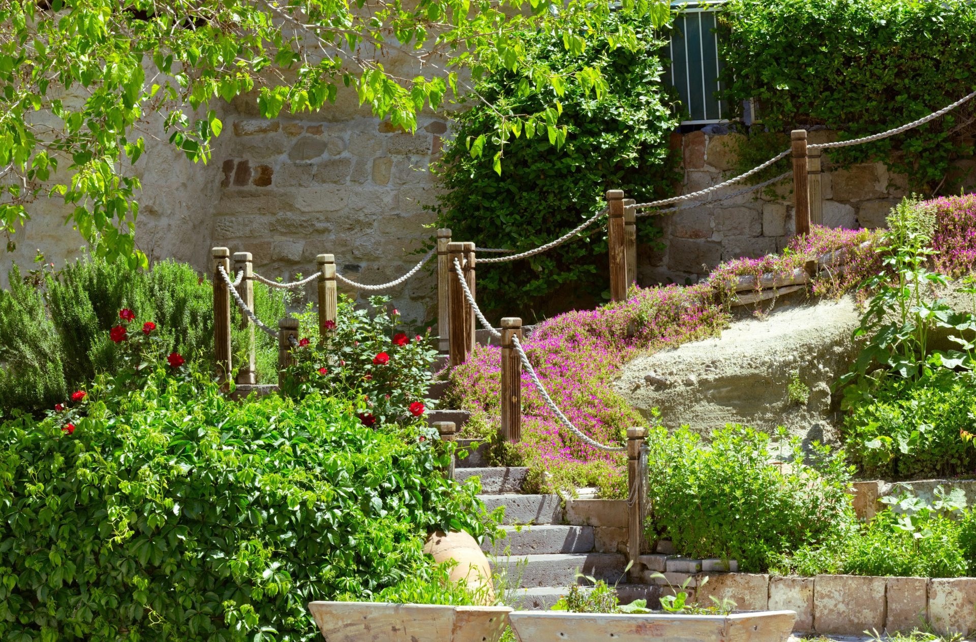 a garden filled with lots of plants and flowers